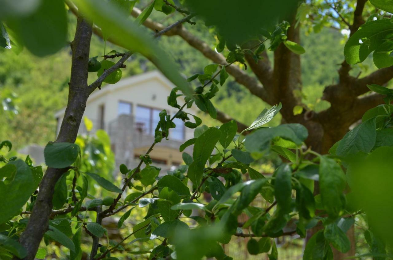 Prevalis Nature Cottage ヴィルパザル エクステリア 写真